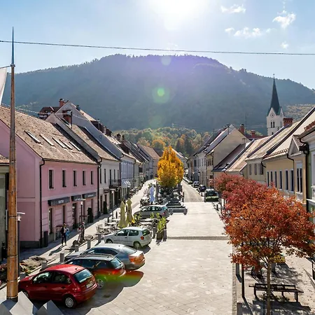 Apartament Pri Hudi Mravljici Slovenske Konjice