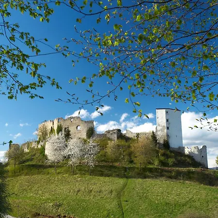 Pri Hudi Mravljici Apartament *