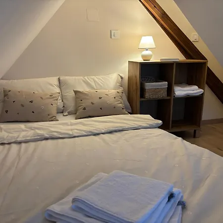 Apartament Pri Hudi Mravljici *